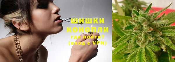 гашик Осинники