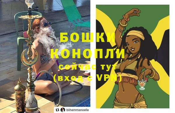 ПСИЛОЦИБИНОВЫЕ ГРИБЫ Сураж