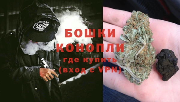 крисы Осташков