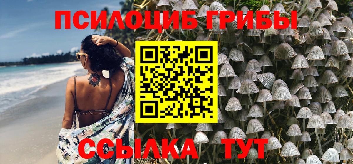 Псилоцибиновые грибы Magic Shrooms Асбест